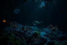 Tarantulas in caves and caves